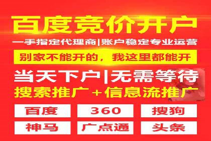 竞价托管服务案例解析